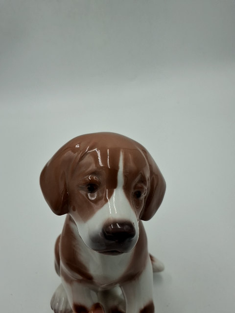 RC Hund 1926